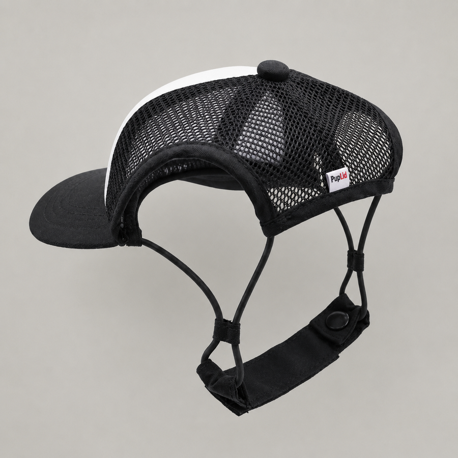 Black | Back