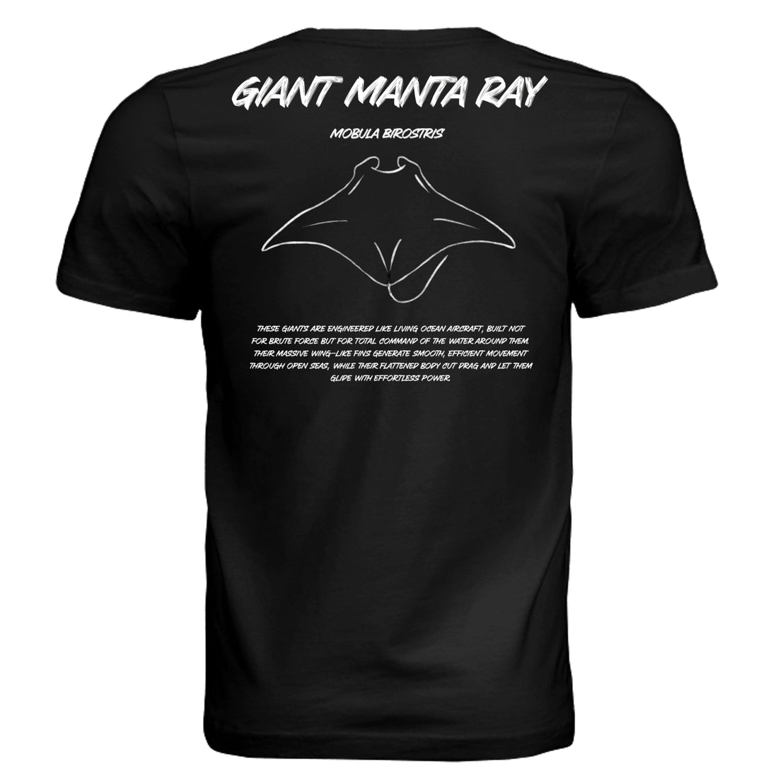 Black | Front